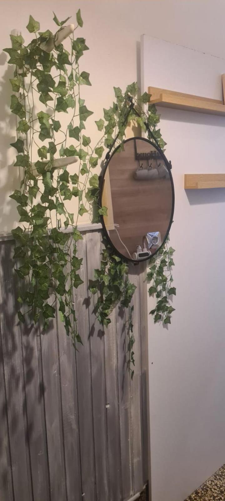 Viva Akacfa Apartament Budapesta